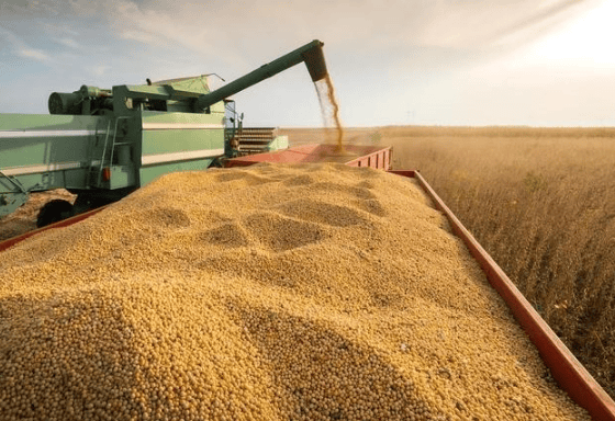 日本J2联赛_攻守易型了！中国又走了一步好棋日本J2联赛，出手签下3万吨大单，太罕见