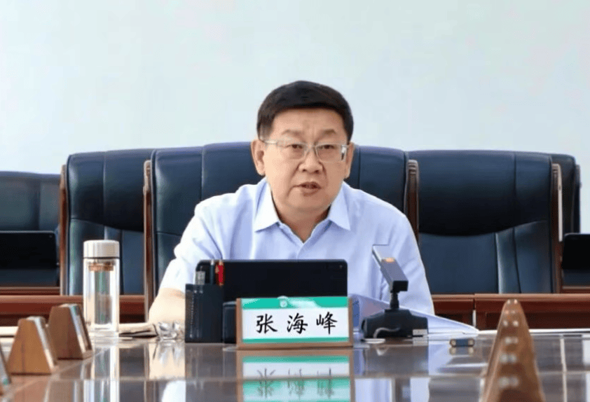 世界杯开户
_涉嫌严重违纪违法世界杯开户
,张海峰被查